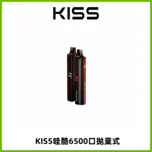 KIS5WAGOO哇酷6500口拋棄式 | 自由混搭雙口味 | 雙芯組合
